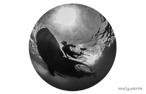 My wife next to a whale shark.  8mm fisheye w/ full frame... by Ken Kiefer 